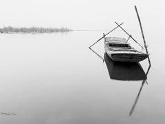 勘景